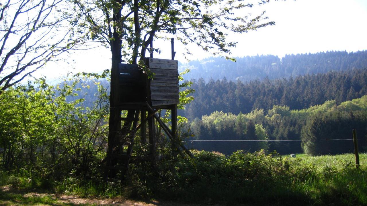 Fewo Marita Wimbach Exteriör bild