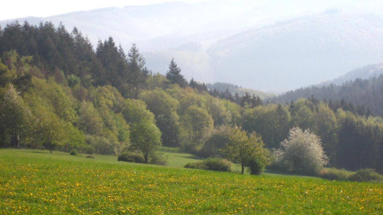Fewo Marita Wimbach Exteriör bild